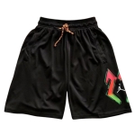 Баскетбольные шорты Jordan Sport DNA HBR Fleece